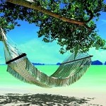 The Definitive List  Chill Out - Ambient - Lounge