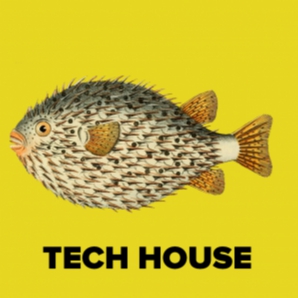 Tech House ????