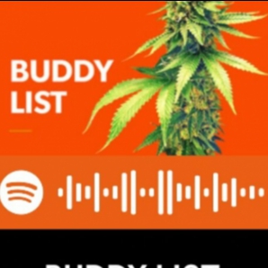 The Buddy List