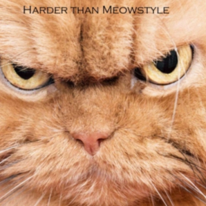 Harder than Meowstyle