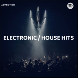 Hot Electronic / House Hits