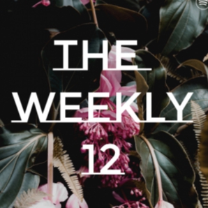 The Weekly 12