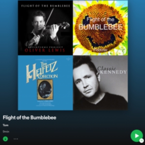 FLIGHT OF THE BUMBLEBEE... Playlist!!