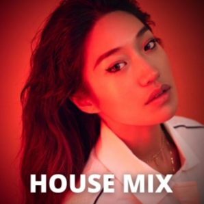 House Mix | Peggy Gou | Meduza | Tiesto | Fisher | James Hyp