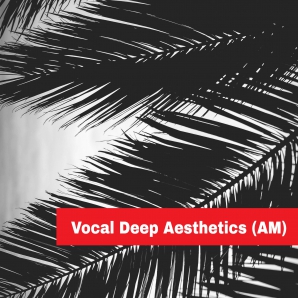 Vocal Deep Aesthetics(AM)