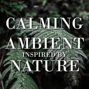 Calming  Ambient inspired by Nature