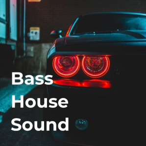BASS HOUSE SOUND ???? Bass House, G-House, UK Bass