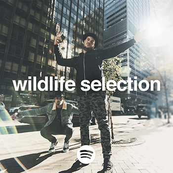 ALVARO: Wildlife Selection [Trap/Electro/Good Vibes]