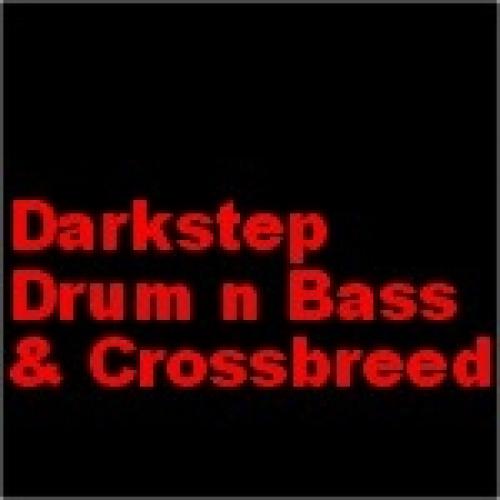 Drum n Bass / Darkstep / Crossbreed