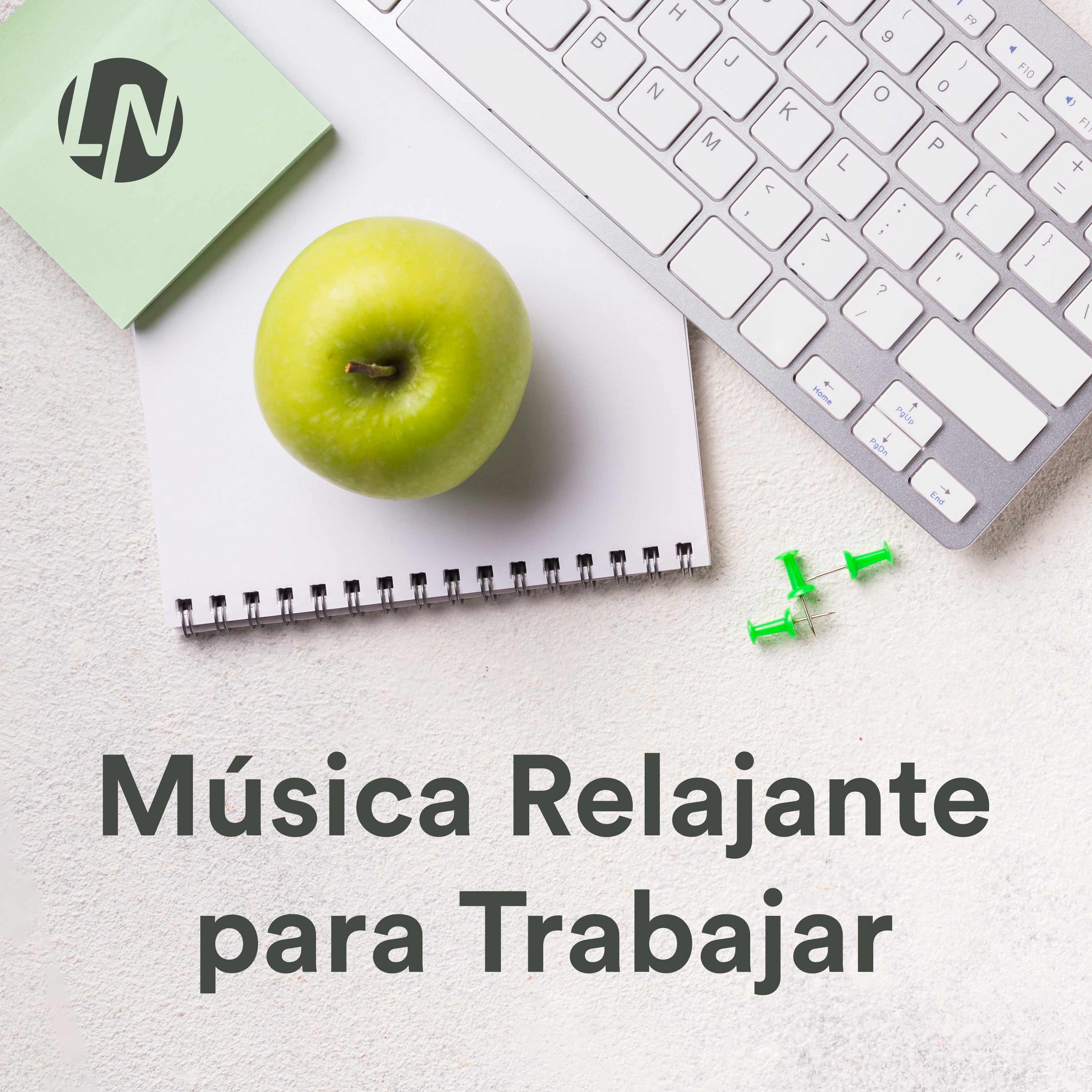 Música Relajante para Trabajar ????‍????