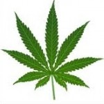 Legalize It