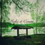 Make it Count - folk, ( mellow ) indie, world, chill, guitar