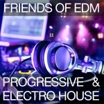 Friends of EDM ★ Selected Progressive & Electro House