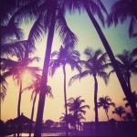 Melodic/Tropical House