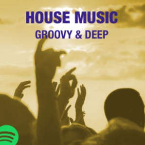 House Music: Groovy & Deep