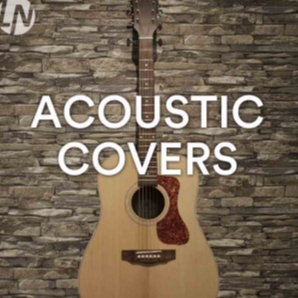 acoustic cover