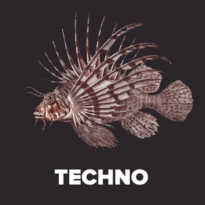 Techno ????