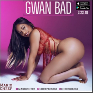 Mario Cheef-Gwan Bad