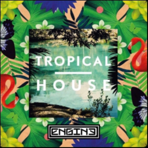 Tropical Summer - Dj Engine 