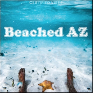 Beached AZ
