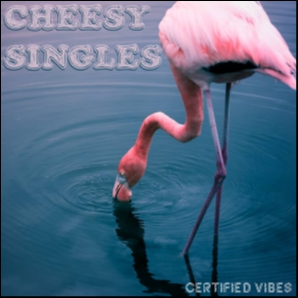 Cheesy Singles - Pink