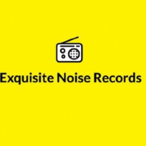 Exquisite Noise
