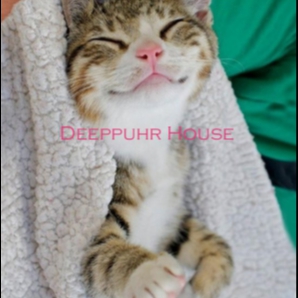 Deeppuhr House (Relaxed)