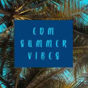 EDM SUMMER VIBES