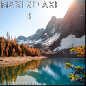 Maxi Relaxi II