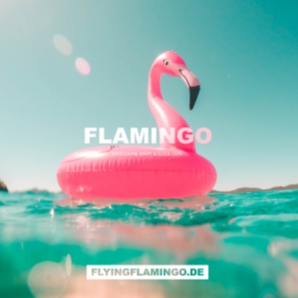 FLAMINGO FM - Urban Office Playlist [????????]