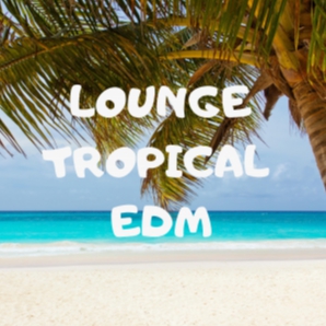 LOUNGE // TROPICAL // EDM