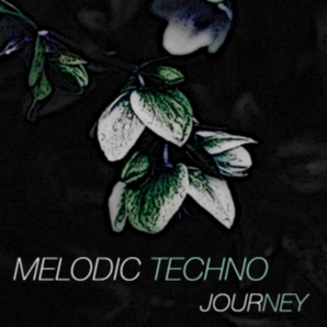 Melodic Techno Journey
