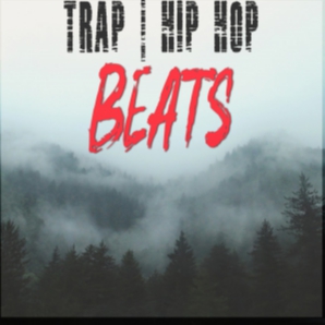 Trap Beats | Hip Hop Beats (Instrumentals) 2020