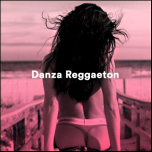 Danza Reggaeton Workout Mix