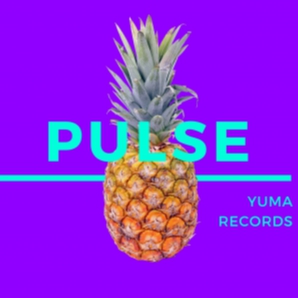 Pulse EDM Playlist [Deluxe] by YUMA Records