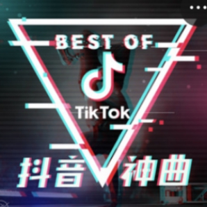 Best Of TikTok (抖音神曲)