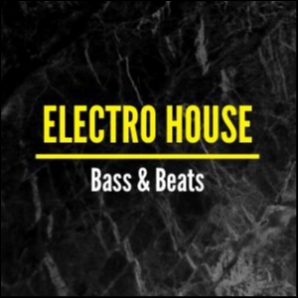 Electro House☢️ Bass & Beats