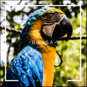 Bossa