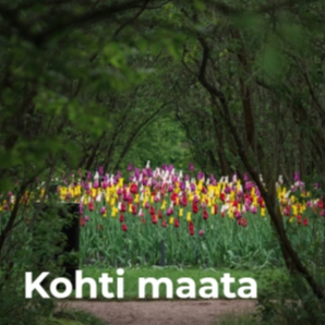 Kohti maata