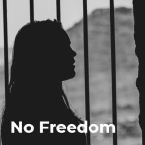 No Freedom (Grindcore)