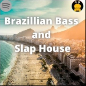 Brazillian Bass and Slap House