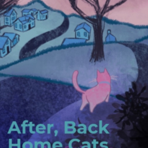 After, Back Home Cats (Techno/Eclectic Dub/Drone/House/Ambie