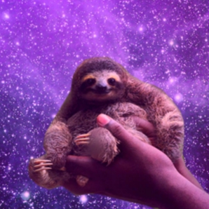 Slothmode