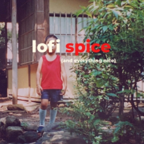 lofi spice and everything nice