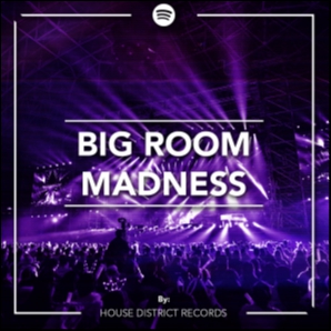 Big Room Madness