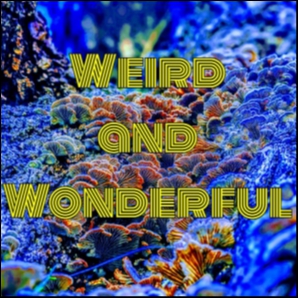 Weird and Wonderful