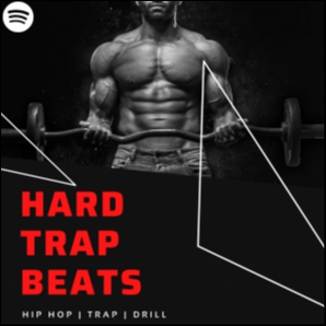 Hard Trap Beats (Hip Hop | Trap | Drill Instrumentals)