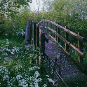 through leaves over bridges