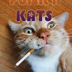 Funky Kats