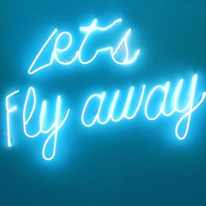 Lets Fly Away
